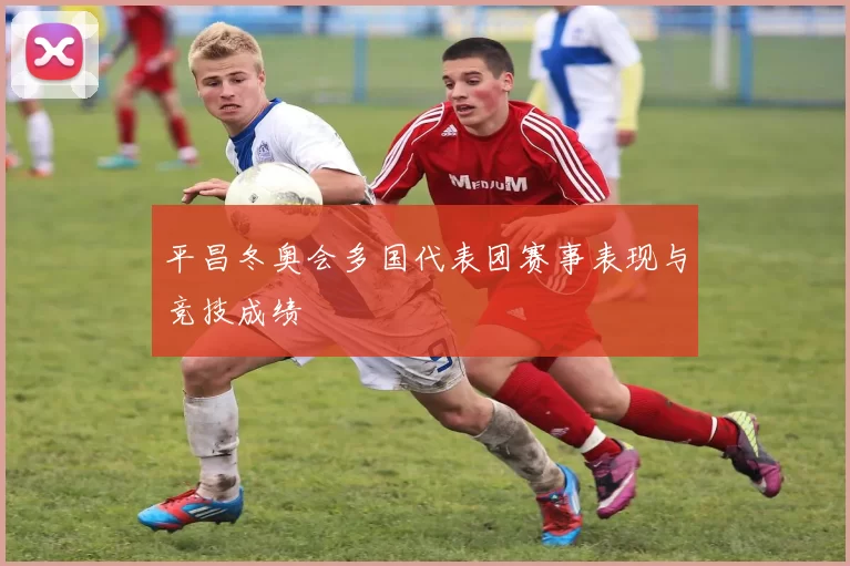 平昌冬奥会多国代表团赛事表现与竞技成绩