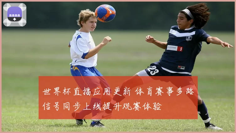 世界杯直播应用更新 体育赛事多路信号同步上线提升观赛体验